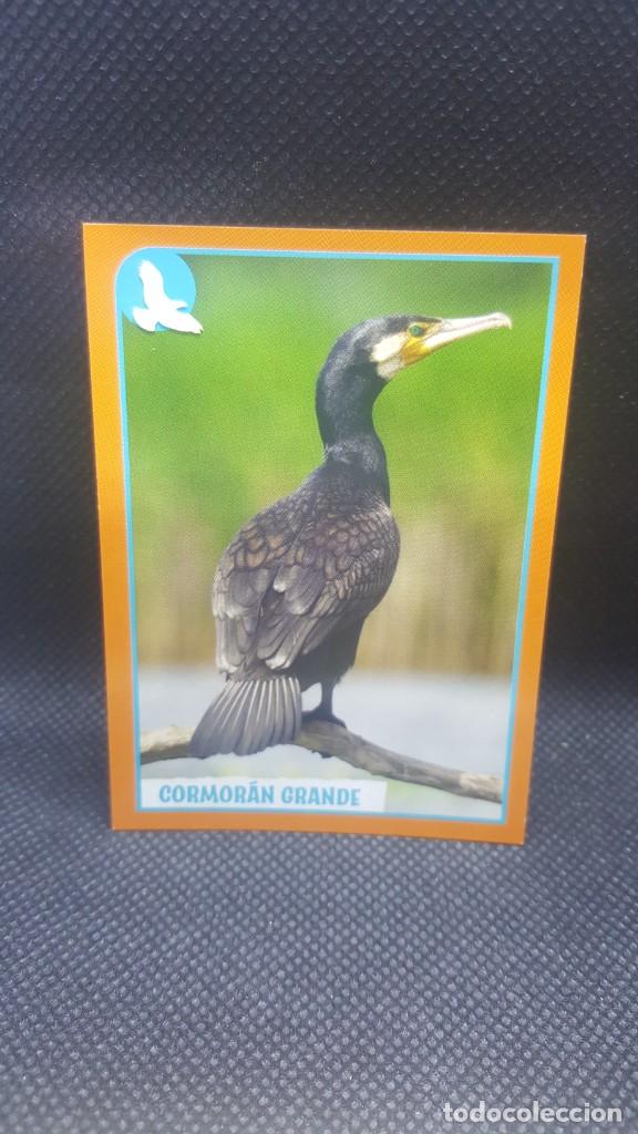 Coleccionismo cromos antiguos: PANINI ANIMALES 2019 - N&ordm; 61 - Foto 1