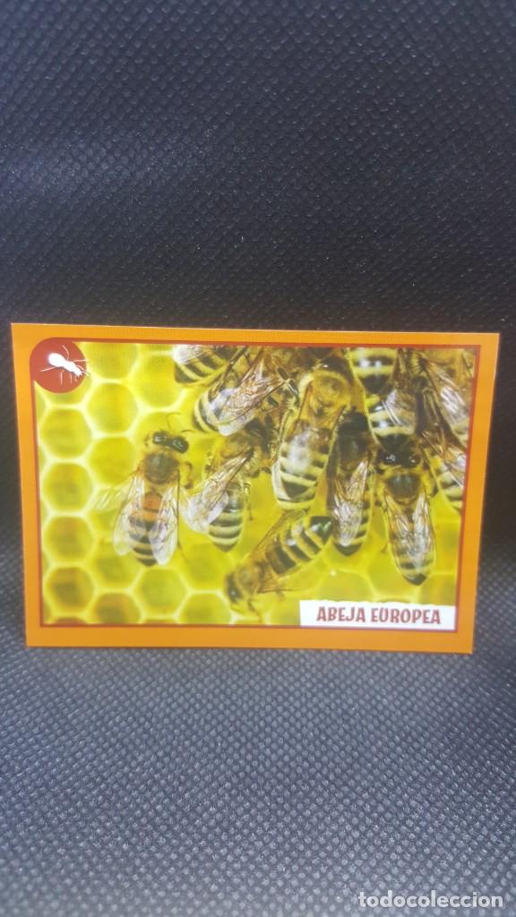 Coleccionismo cromos antiguos: PANINI ANIMALES 2019 - N&ordm; 80 - Foto 1