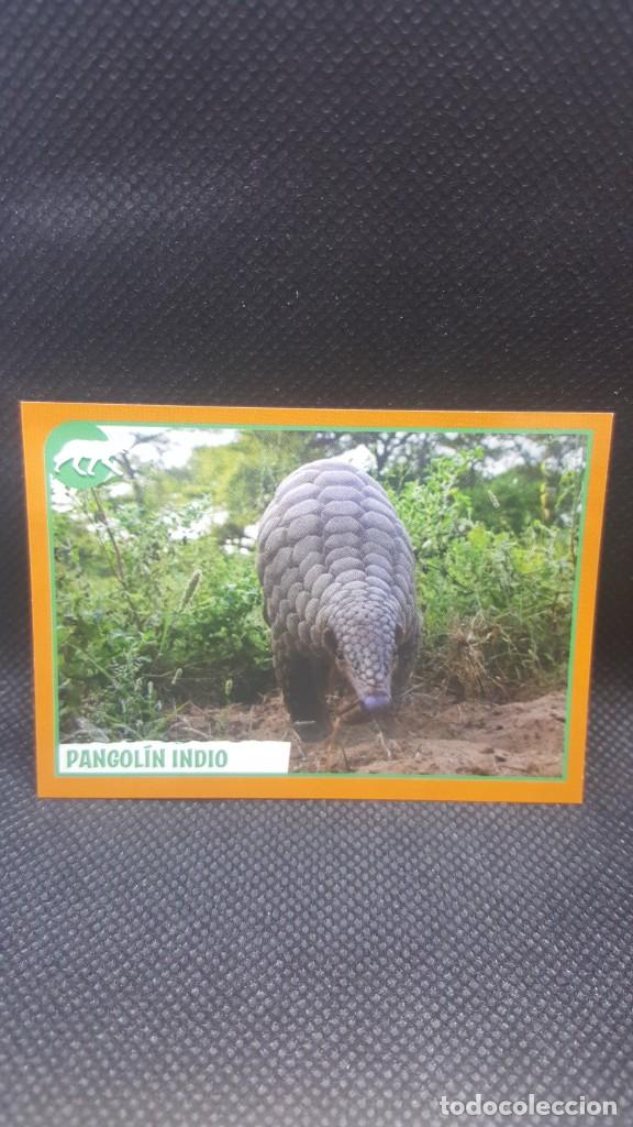 Coleccionismo cromos antiguos: PANINI ANIMALES 2019 - N&ordm; 86 - Foto 1