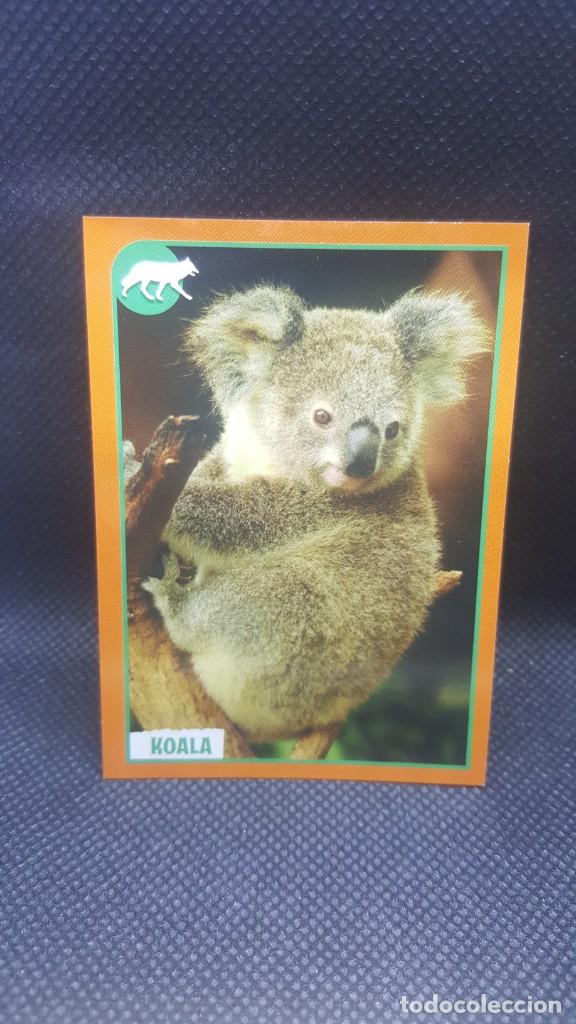 Coleccionismo cromos antiguos: PANINI ANIMALES 2019 - N&ordm; 89 - Foto 1