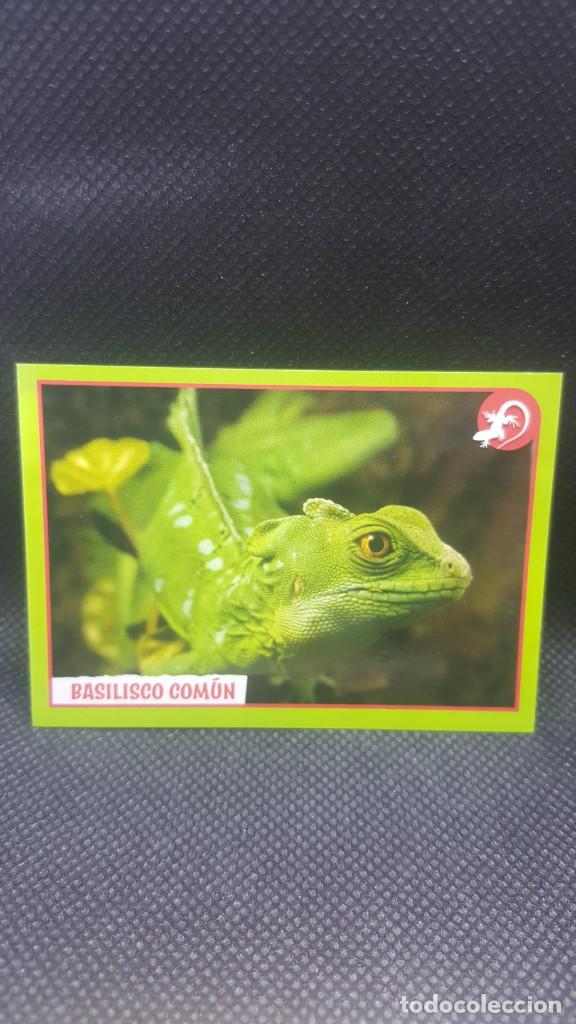 Coleccionismo cromos antiguos: PANINI ANIMALES 2019 - N&ordm; 145 - Foto 1