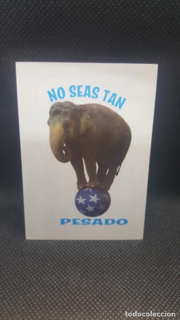 Coleccionismo cromos antiguos: PANINI ANIMALES 2019 - N&ordm; 163 - Foto 1
