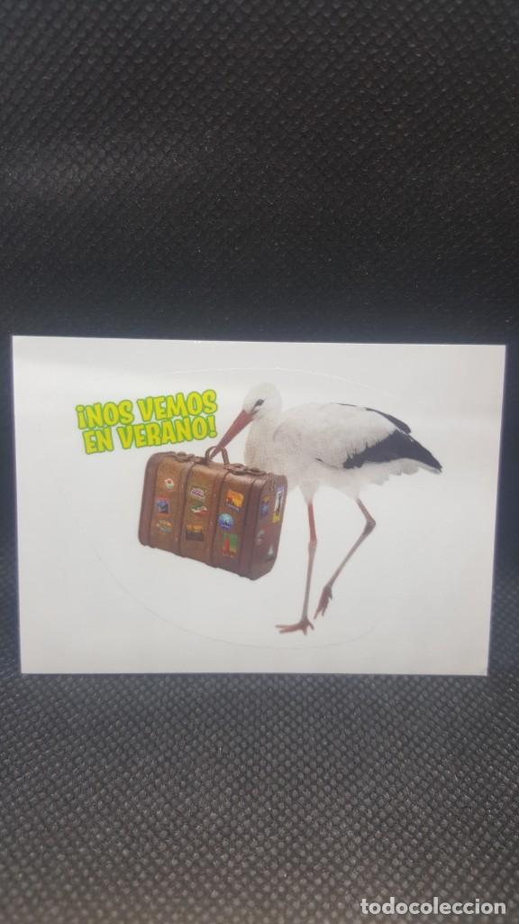 Coleccionismo cromos antiguos: PANINI ANIMALES 2019 - N&ordm; 164 - Foto 1