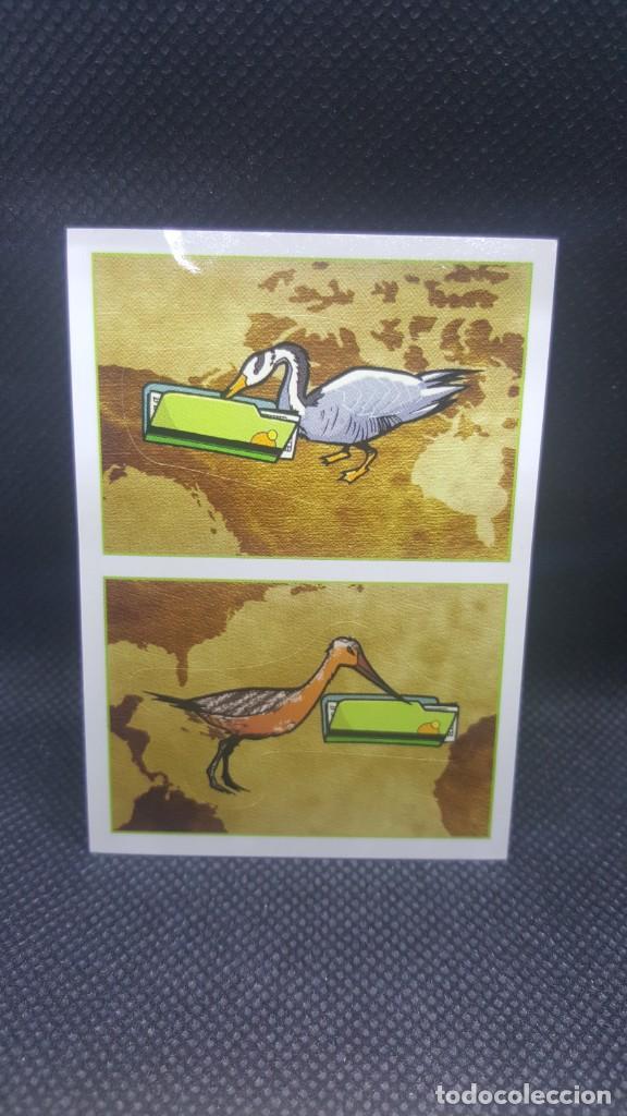 Coleccionismo cromos antiguos: PANINI ANIMALES 2019 - N&ordm; 168 - Foto 1
