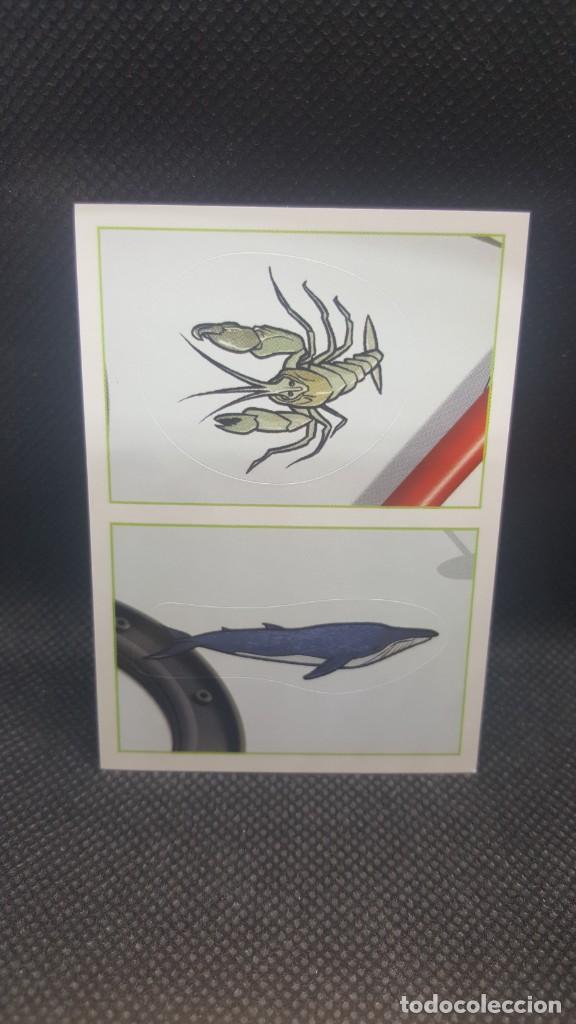 Coleccionismo cromos antiguos: PANINI ANIMALES 2019 - N&ordm; 182 - Foto 1