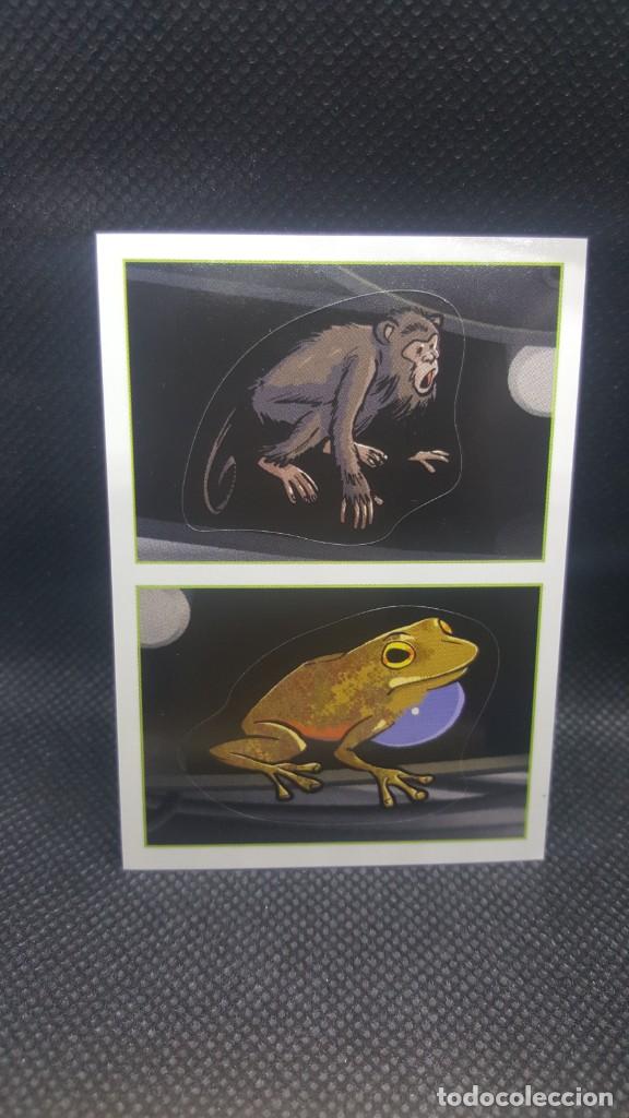 Coleccionismo cromos antiguos: PANINI ANIMALES 2019 - N&ordm; 184 - Foto 1