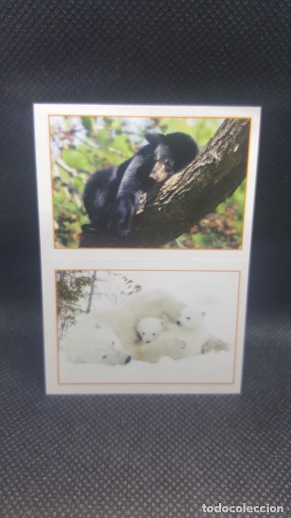 Coleccionismo cromos antiguos: PANINI ANIMALES 2019 - N&ordm; 222 - Foto 1