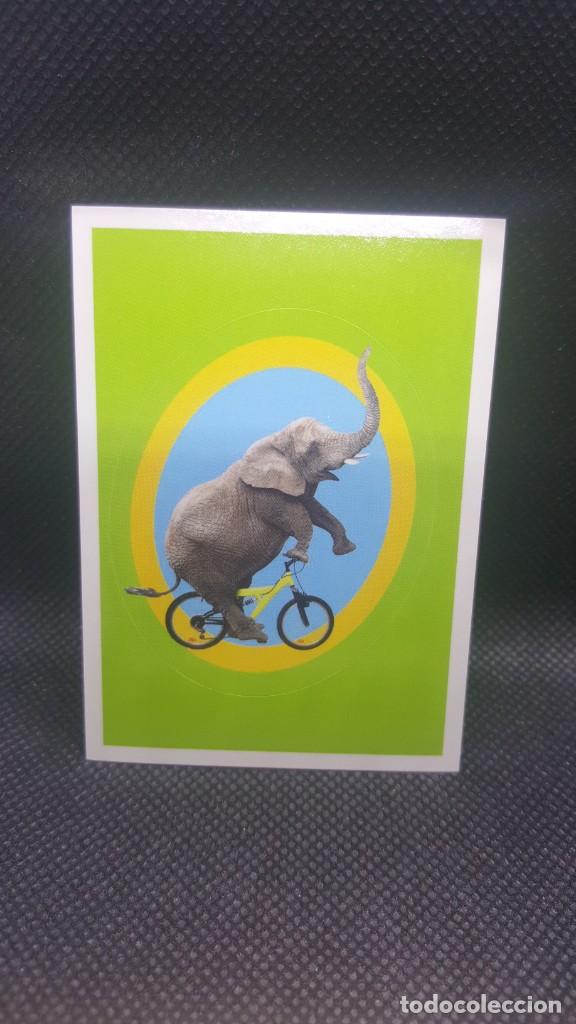 Coleccionismo cromos antiguos: PANINI ANIMALES 2019 - N&ordm; 250 - Foto 1