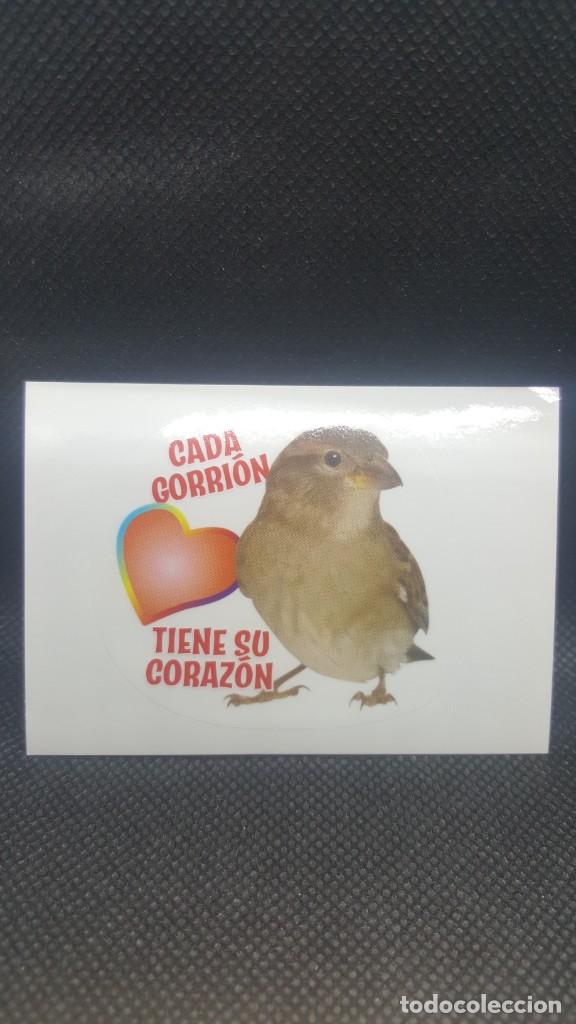 Coleccionismo cromos antiguos: PANINI ANIMALES 2019 - N&ordm; 258 - Foto 1