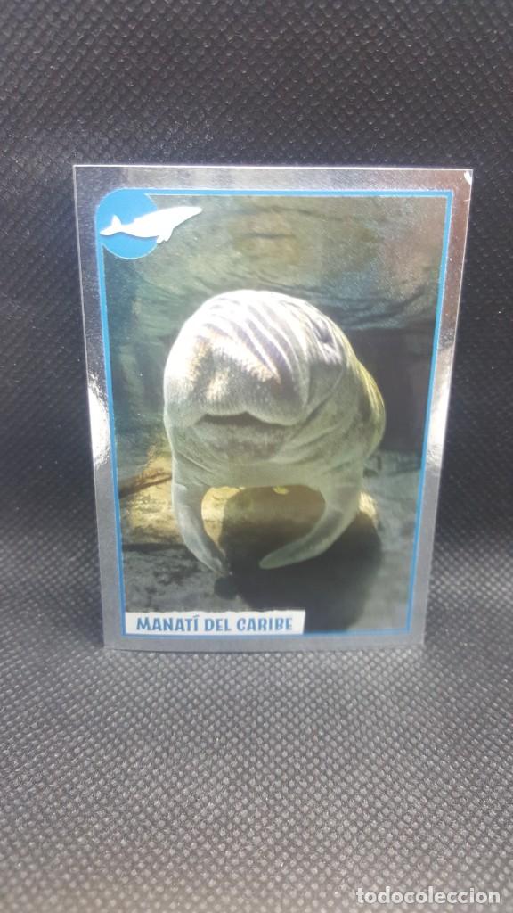 Coleccionismo cromos antiguos: PANINI ANIMALES 2019 - N&ordm; 262 - Foto 1