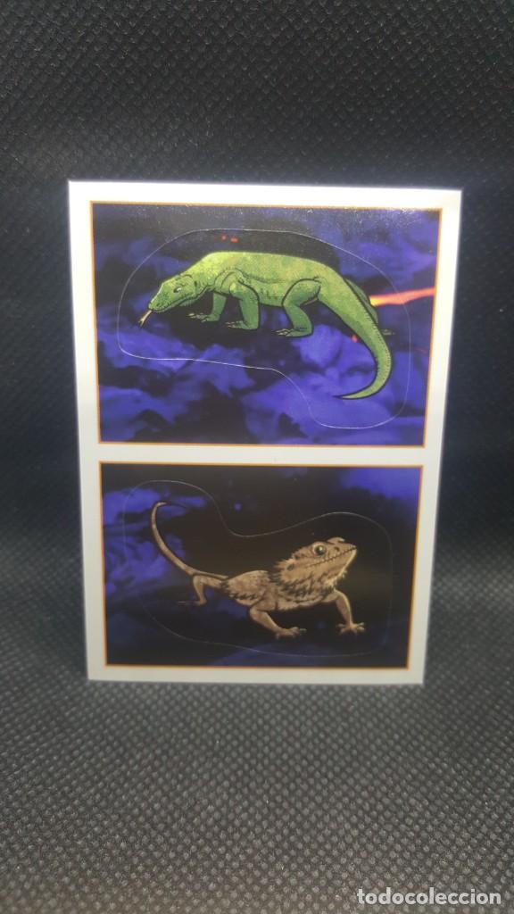 Coleccionismo cromos antiguos: PANINI ANIMALES 2019 - N&ordm; 278 - Foto 1