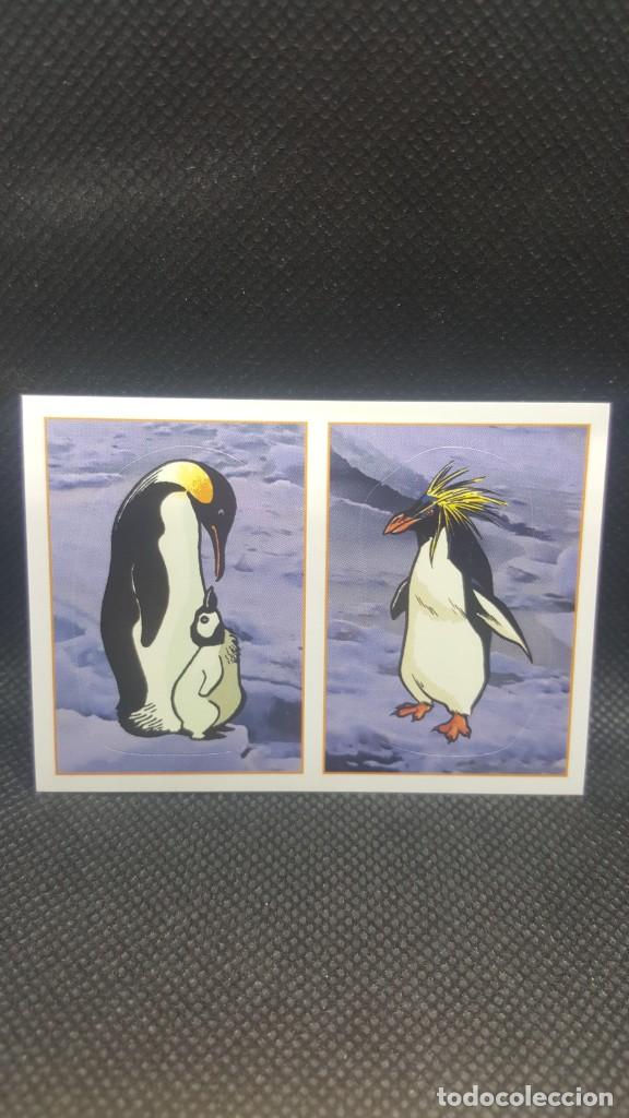 Coleccionismo cromos antiguos: PANINI ANIMALES 2019 - N&ordm; 288 - Foto 1