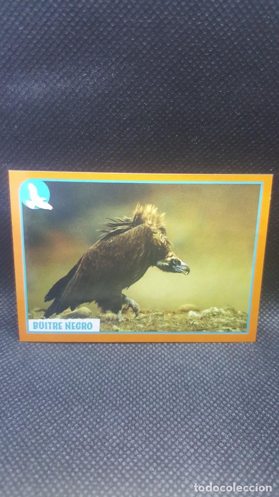Coleccionismo cromos antiguos: PANINI ANIMALES 2019 - N&ordm; 305 - Foto 1