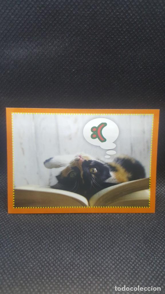 Coleccionismo cromos antiguos: PANINI ANIMALES 2019 - N&ordm; 350 - Foto 1