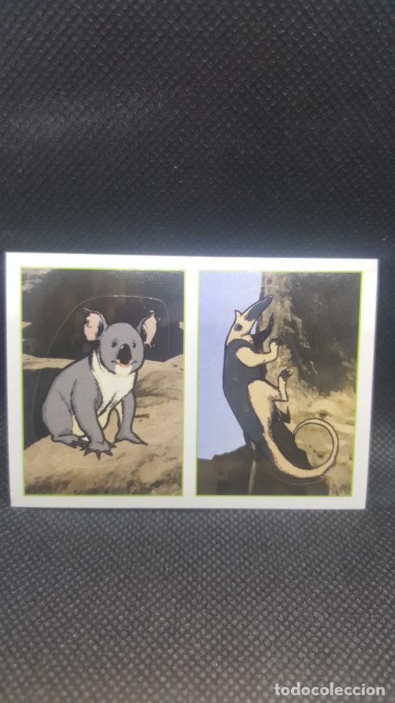 Coleccionismo cromos antiguos: PANINI ANIMALES 2019 - N&ordm; 357 - Foto 1