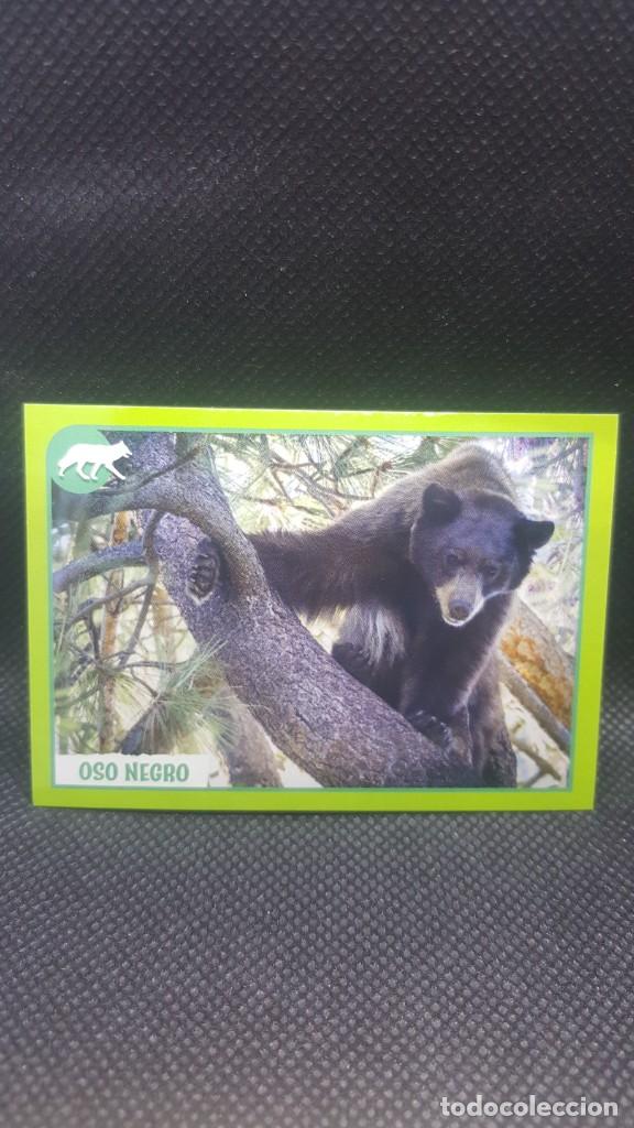 Coleccionismo cromos antiguos: PANINI ANIMALES 2019 - N&ordm; 359 - Foto 1