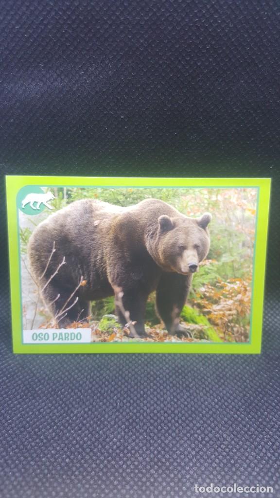 Coleccionismo cromos antiguos: PANINI ANIMALES 2019 - N&ordm; 361 - Foto 1