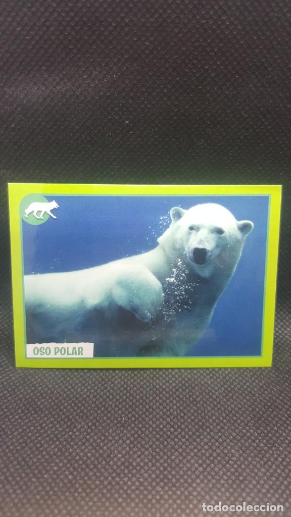 Coleccionismo cromos antiguos: PANINI ANIMALES 2019 - N&ordm; 362 - Foto 1