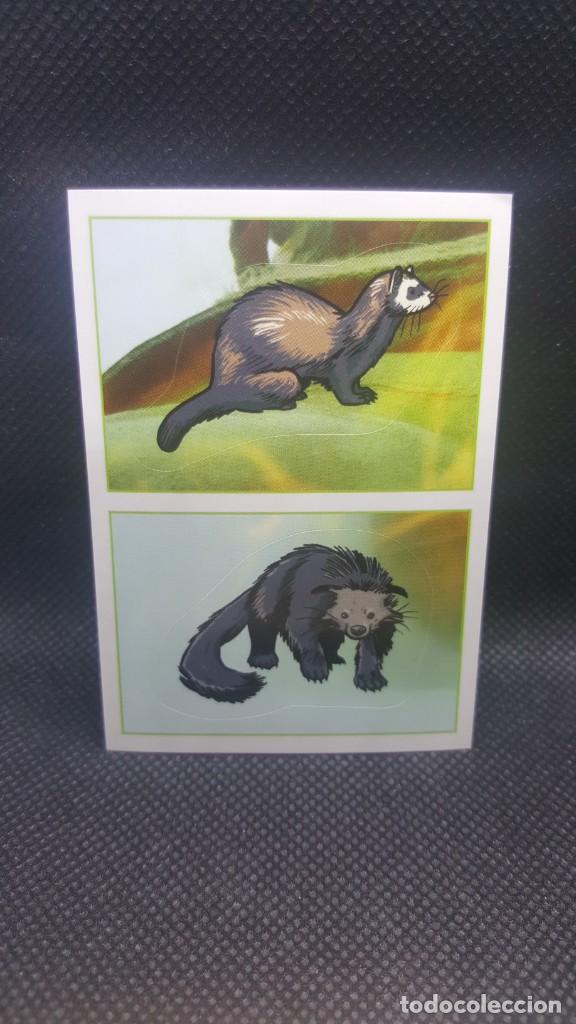 Coleccionismo cromos antiguos: PANINI ANIMALES 2019 - N&ordm; 367 - Foto 1