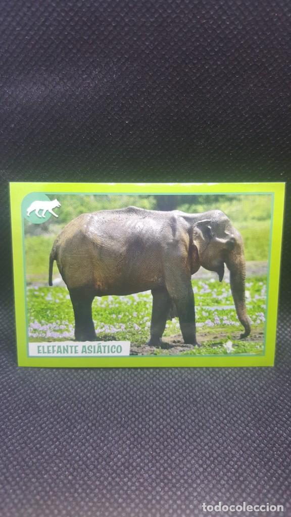 Coleccionismo cromos antiguos: PANINI ANIMALES 2019 - N&ordm; 378 - Foto 1