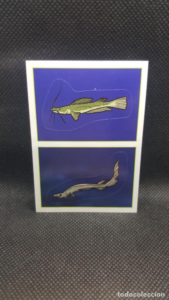 Coleccionismo cromos antiguos: PANINI ANIMALES 2019 - N&ordm; 397 - Foto 1