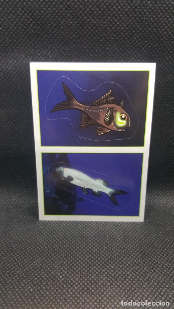 Coleccionismo cromos antiguos: PANINI ANIMALES 2019 - N&ordm; 406 - Foto 1