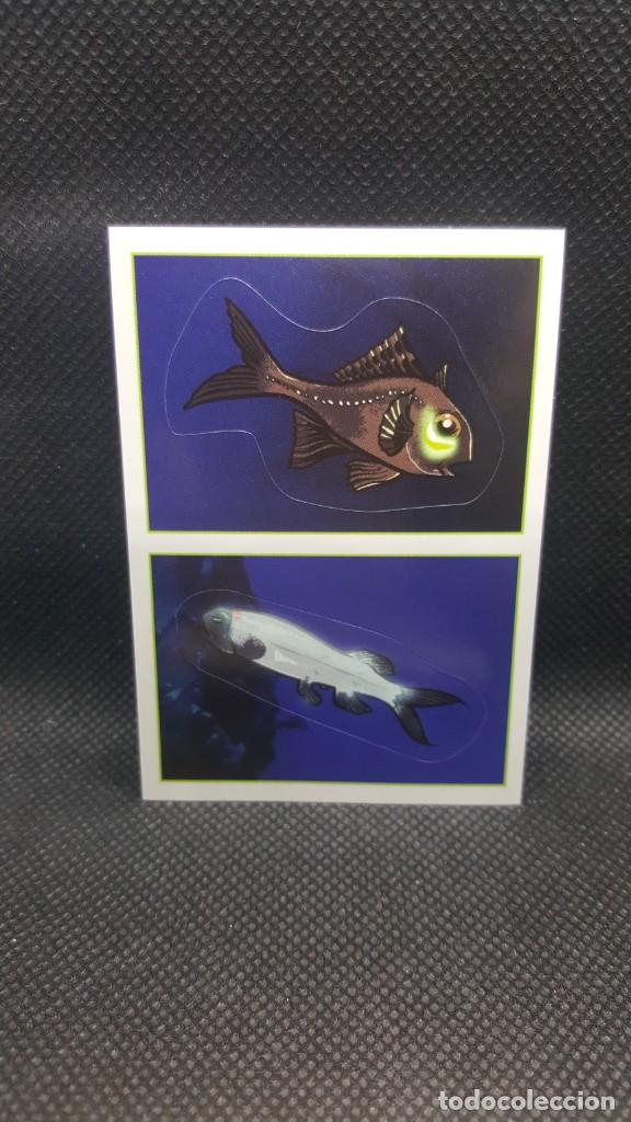 Coleccionismo cromos antiguos: PANINI ANIMALES 2019 - N&ordm; 406 - Foto 1