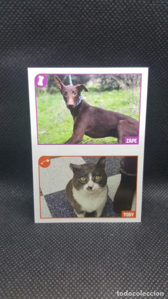 Coleccionismo cromos antiguos: PANINI ANIMALES 2019 - N&ordm; 451 - Foto 1