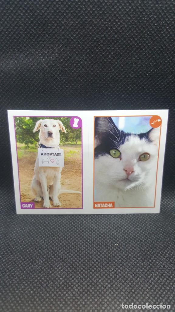 Coleccionismo cromos antiguos: PANINI ANIMALES 2019 - N&ordm; 452 - Foto 1