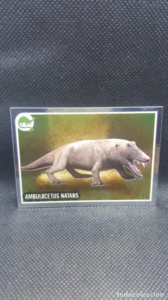 Coleccionismo cromos antiguos: PANINI ANIMALES 2019 - N&ordm; E1 - Foto 1