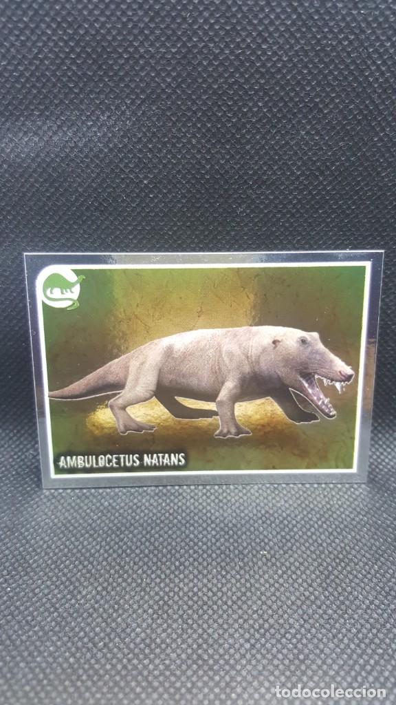 Coleccionismo cromos antiguos: PANINI ANIMALES 2019 - N&ordm; E1 - Foto 1