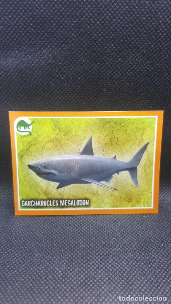 Coleccionismo cromos antiguos: PANINI ANIMALES 2019 - N&ordm; E6 - Foto 1