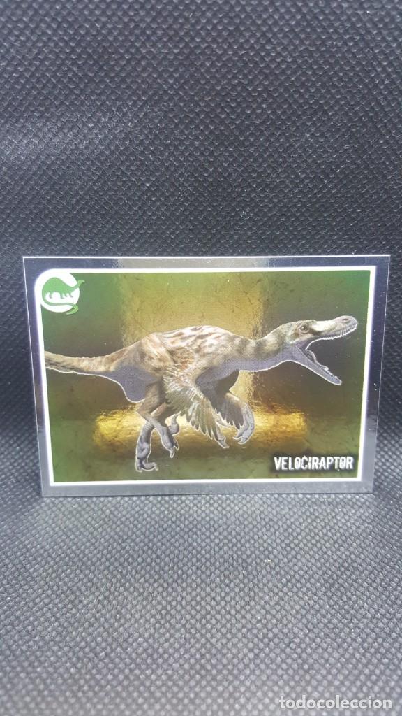Coleccionismo cromos antiguos: PANINI ANIMALES 2019 - N&ordm; E21 - Foto 1