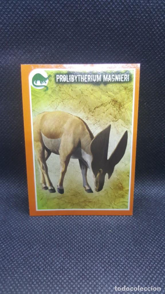 Coleccionismo cromos antiguos: PANINI ANIMALES 2019 - N&ordm; E31 - Foto 1