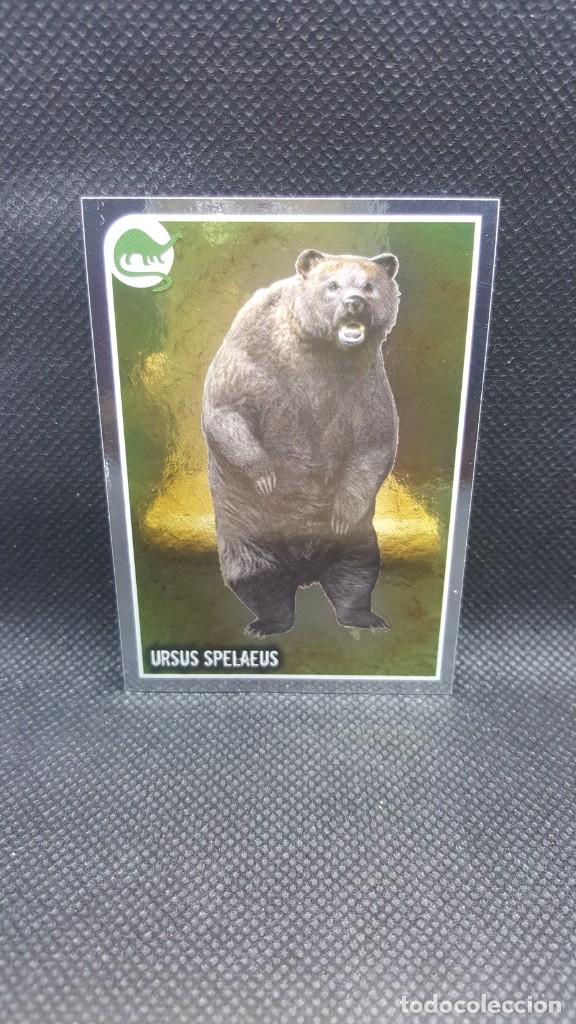 Coleccionismo cromos antiguos: PANINI ANIMALES 2019 - N&ordm; E36 - Foto 1