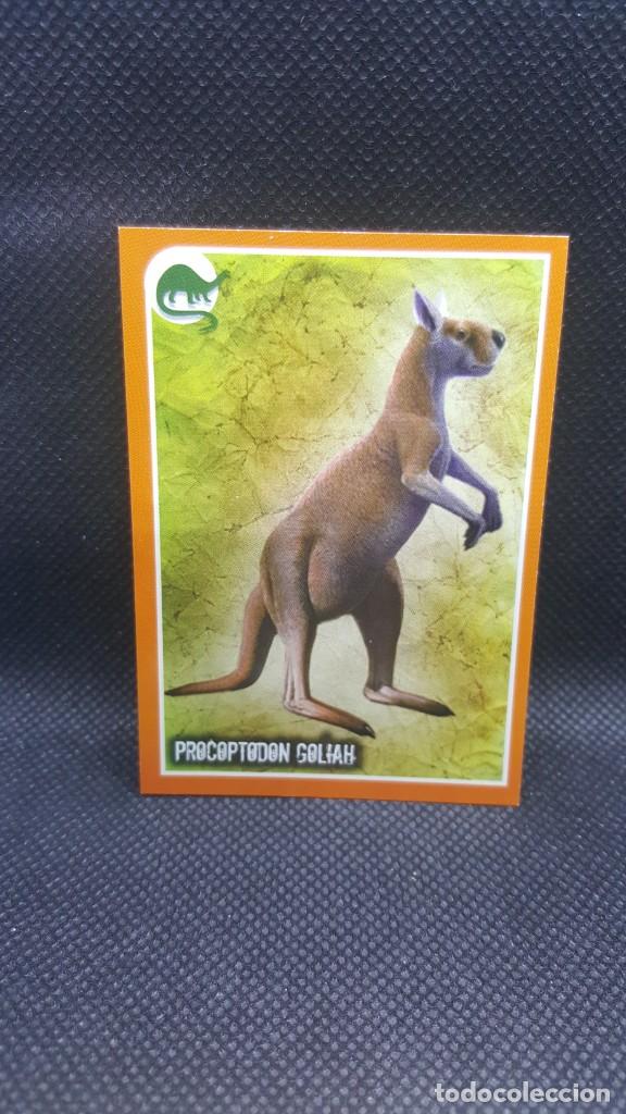 Coleccionismo cromos antiguos: PANINI ANIMALES 2019 - N&ordm; E38 - Foto 1