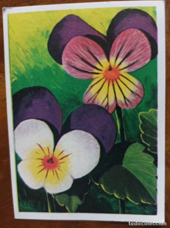 Collectable Antique Stickers: Cromo 234 Visi&oacute;n Naturaleza editorial Maga 1978