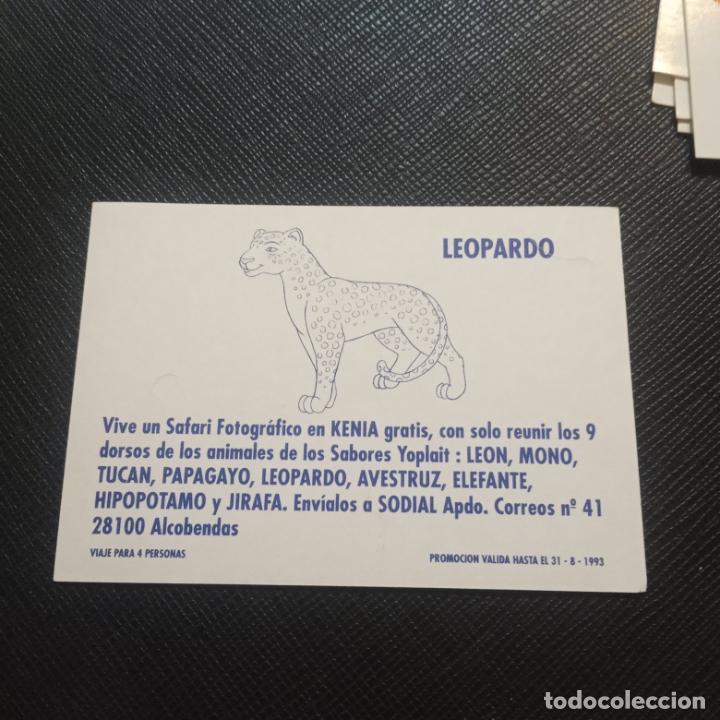Coleccionismo cromos antiguos: LEOPARDO CROMO YOPLAIT - Foto 2