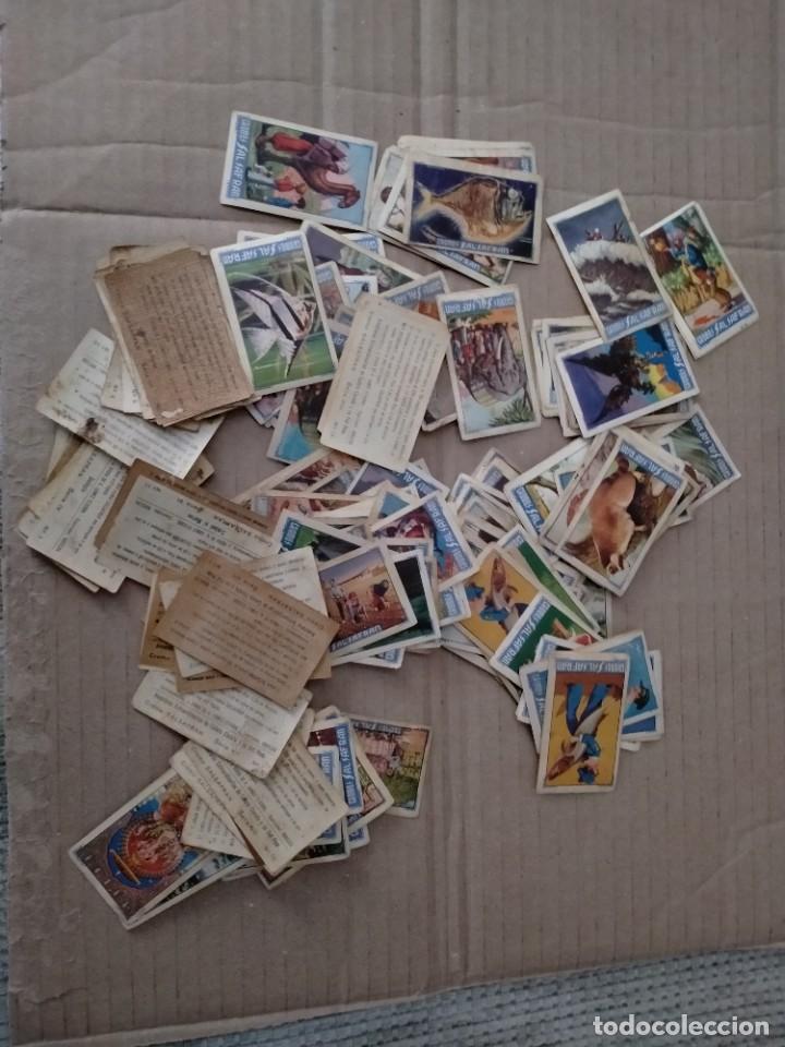Coleccionismo cromos antiguos: cromos de salsafran antiguos - Foto 1