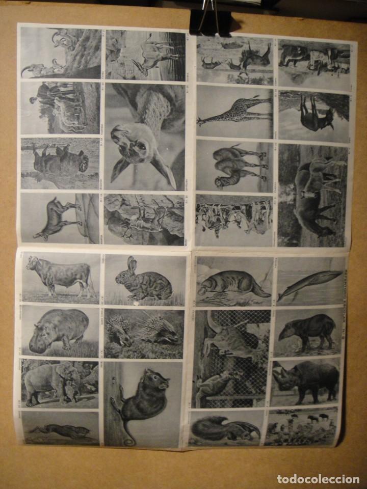 Collectable Antique Stickers: lamina de cromos engomados repertorio escolar n&ordm; 9 - 28 cromos en perfecto estado