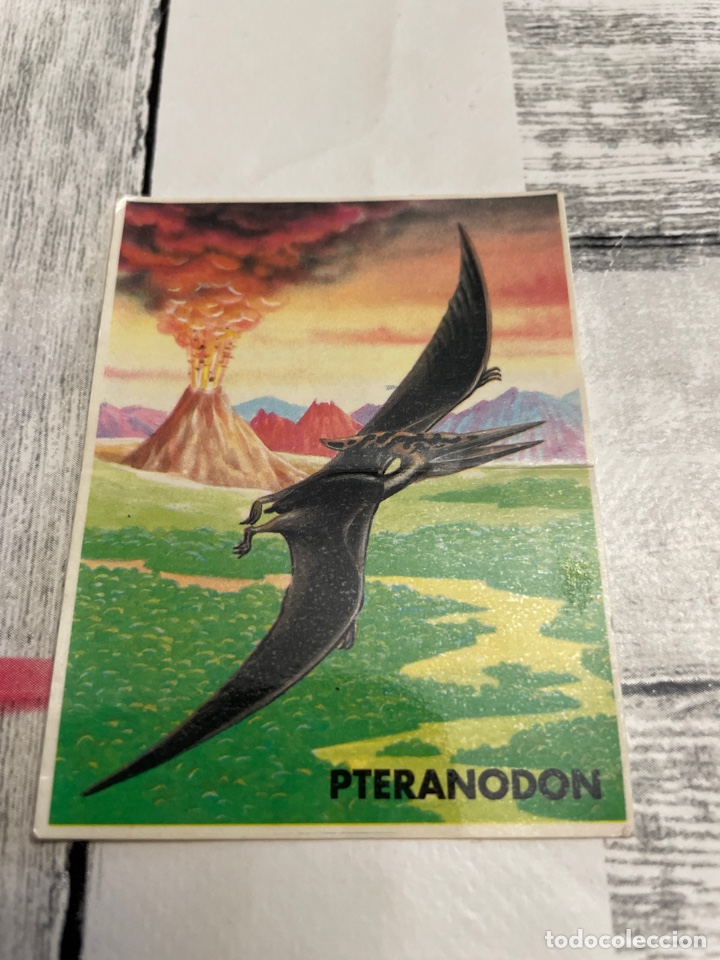 Coleccionismo cromos antiguos: Phoskitos saurio park n&uacute;mero 9 - Foto 1