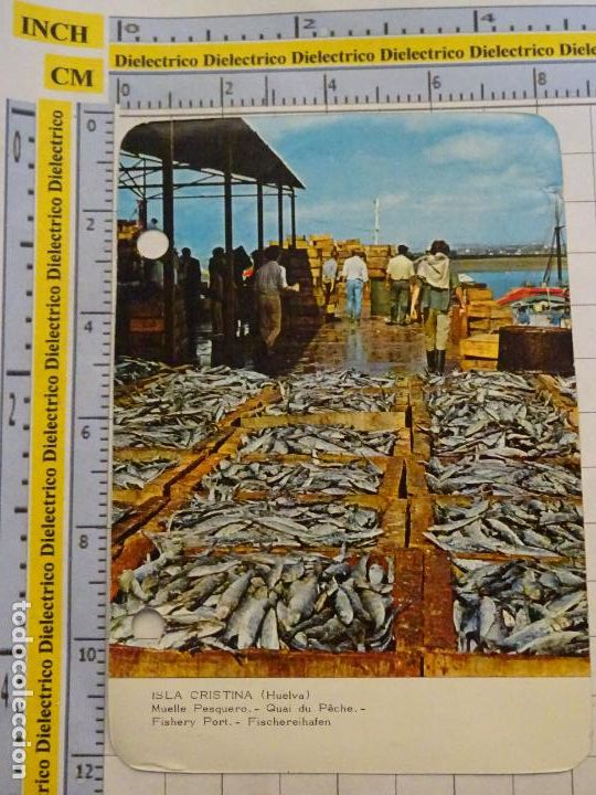 Coleccionismo cromos antiguos: FICHA TURIST MYRGA A&Ntilde;O 1972 FOTO POSTAL RO-FOTO FISA. ISLA CRISTINA HUELVA LONJA PESCADO . 58