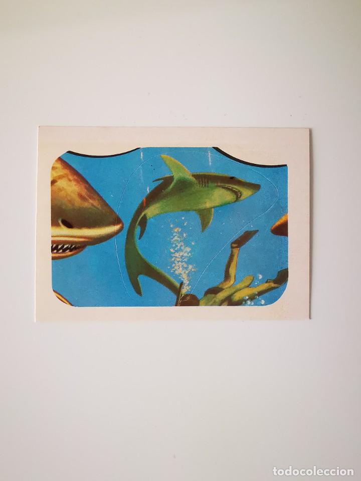 Collectable Antique Stickers: CROMO PEGATINA TROQUELADO SIN PEGAR ALBUM MONSTERS CINE TERROR MAGA MONSTRUOS 92 TIBURON
