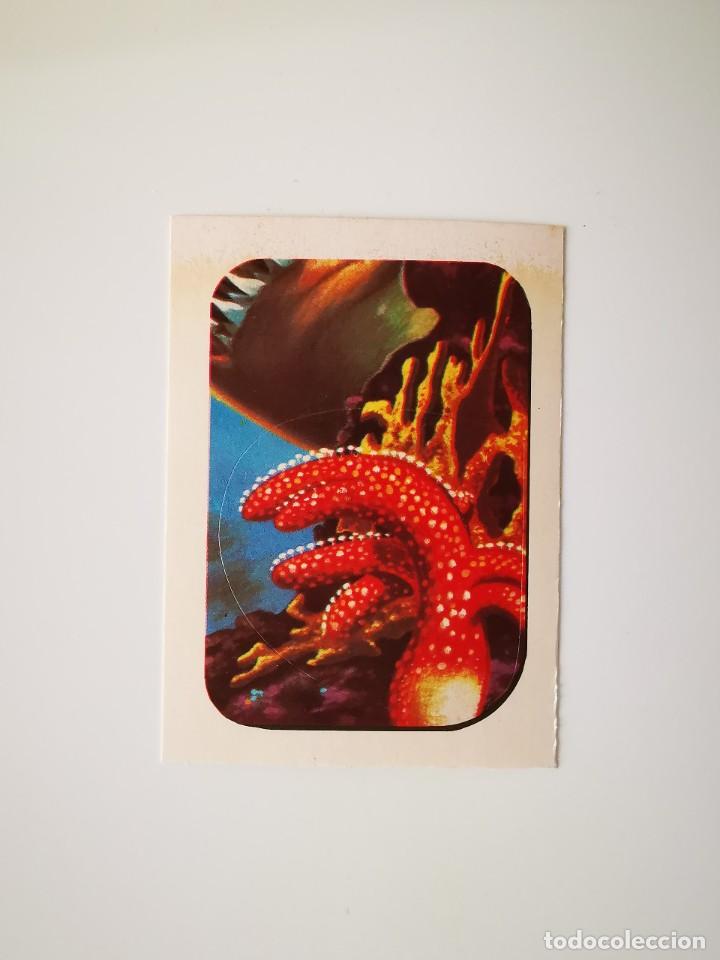 Collectable Antique Stickers: CROMO PEGATINA TROQUELADO SIN PEGAR ALBUM MONSTERS CINE TERROR MAGA MONSTRUOS 98 FONDO MARINO