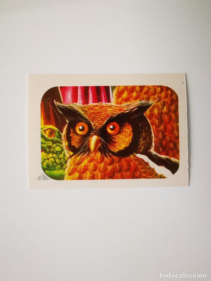 Colecionismo Cromos antigos: CROMO PEGATINA TROQUELADO SIN PEGAR ALBUM MONSTERS CINE TERROR MAGA MONSTRUOS 246 AVE NOCTURNA