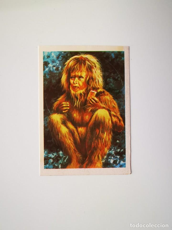 Collectable Antique Stickers: CROMO PEGATINA TROQUELADO SIN PEGAR ALBUM MONSTERS CINE TERROR MAGA MONSTRUOS 310 SKULLDUGGERY