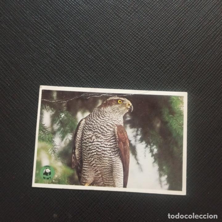 Colecionismo Cromos antigos: VISTA EL PARQUE NACIONAL DE DO&Ntilde;ANA PET BON CROMO - SIN PEGAR - CC1 -