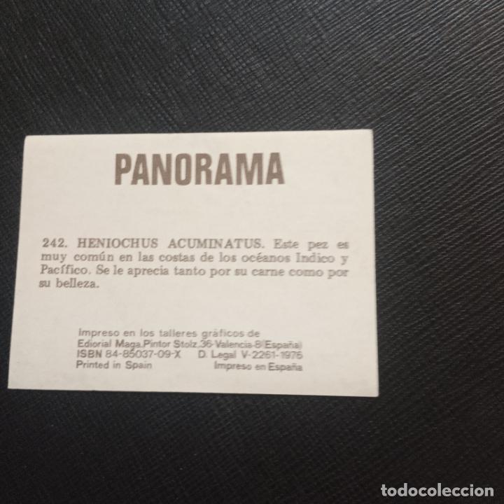 Coleccionismo cromos antiguos: PANORAMA ED MAGA CROMO - SIN PEGAR - CC2 - 242 - Foto 2