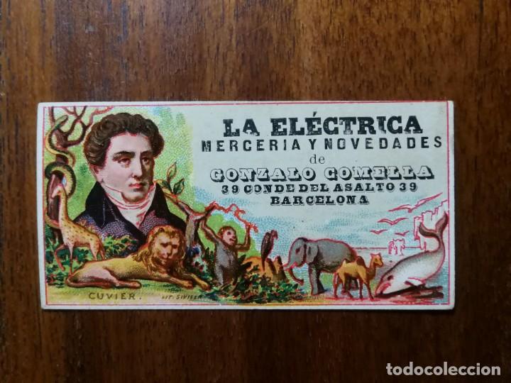 Coleccionismo cromos antiguos: LA EL&Eacute;CTRICA - MERCER&Iacute;A Y NOVEDADES DE GONZALO COMELLA - BARCELONA - CROMO PUBLICITARIO ( CUVIER )