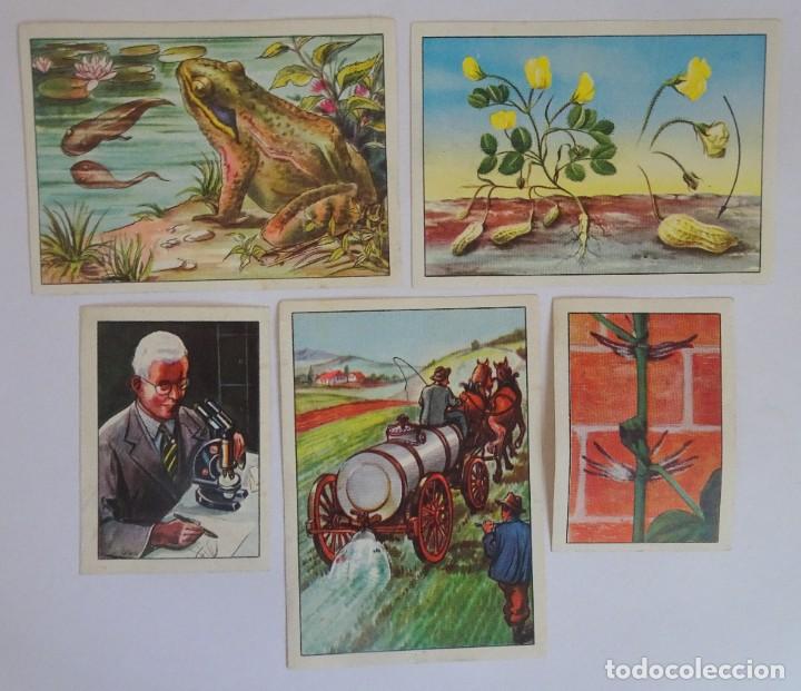 Sammeln alte Sammelbilder: LOTE DE 5 ANTIGUOS CROMOS , LAS MARAVILLAS DEL UNIVERSO II , VER FOTOS